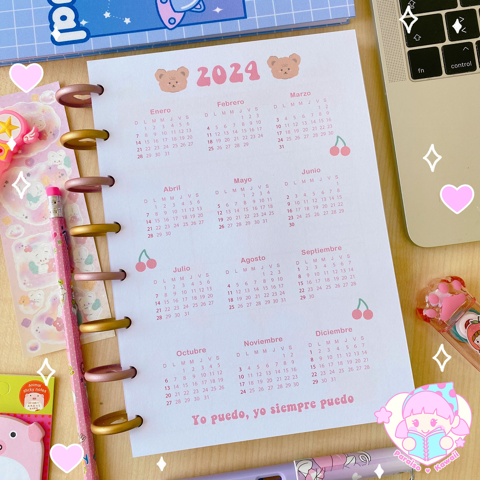 Planner Anual Osito A5 - Discos - Imagen 2