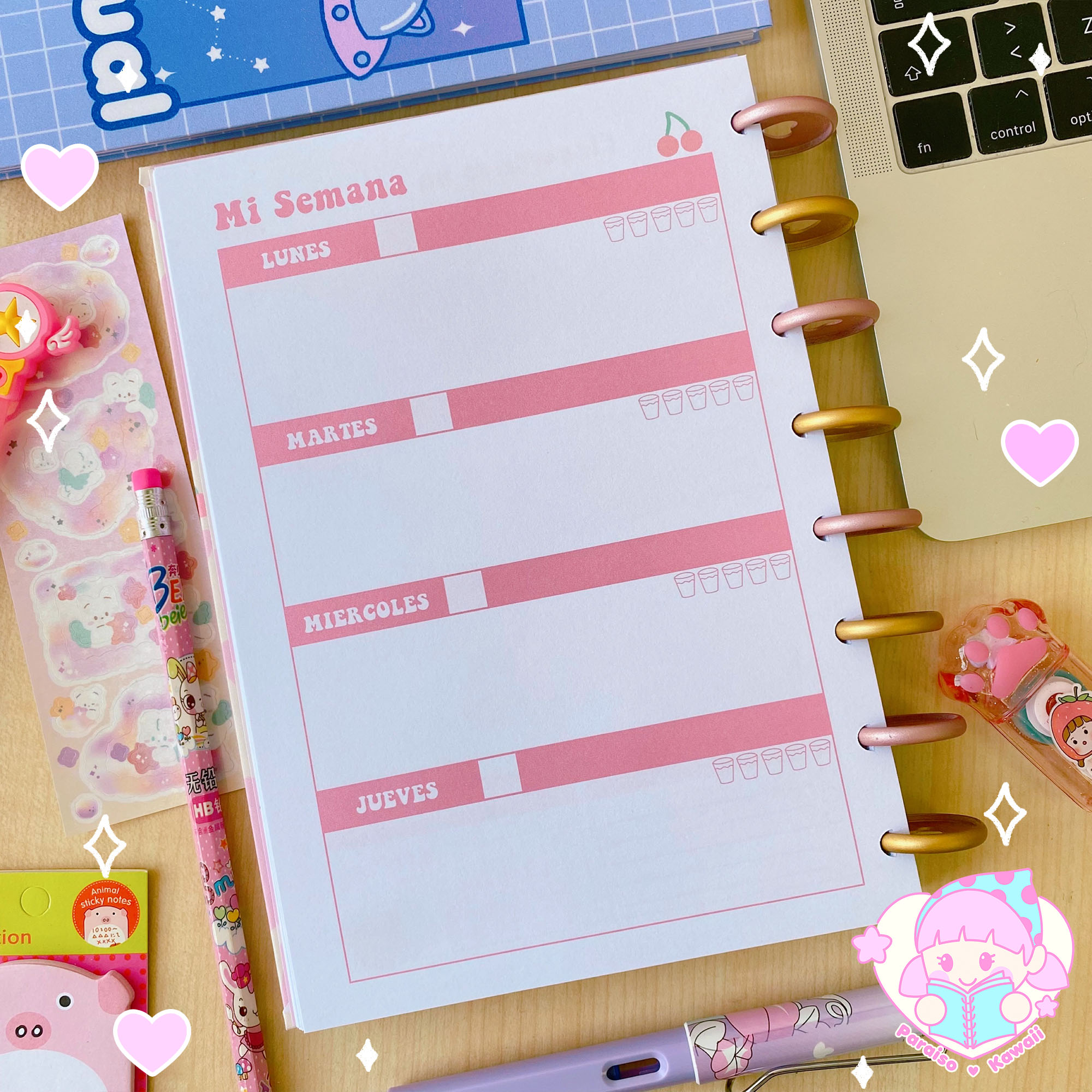 Planner Anual Osito A5 - Discos - Imagen 4