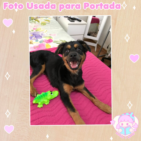 Personalizado - Carnet Veterinario a Pedido - Imagen 12