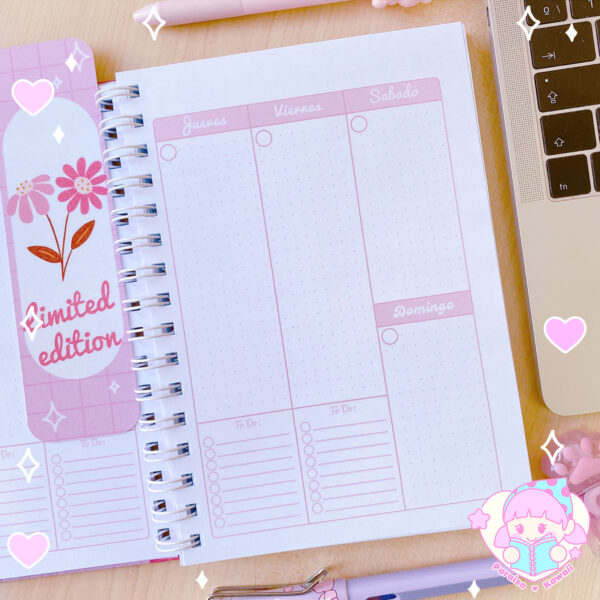 Linea Colors - Planner Anual a Pedido - Imagen 15
