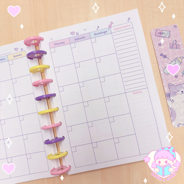 Planner de Discos a Pedido - Docente B5 - Imagen 4