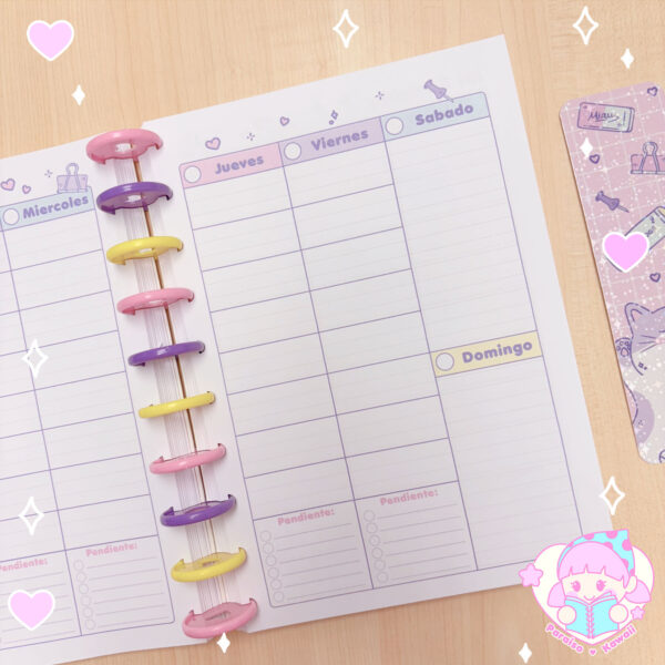Planner de Discos a Pedido - Docente B5 - Imagen 2