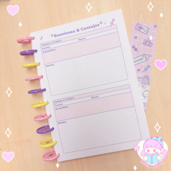 Planner de Discos a Pedido - Docente B5 - Imagen 8