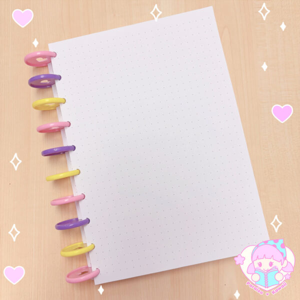 Refill B5 - Libreta Discos - Imagen 4