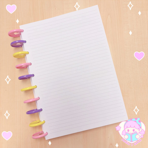 Refill B5 - Libreta Discos - Imagen 3